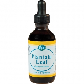 Plantain, Fluid Extract, 2 fl oz dropper bottle