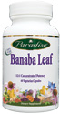 image of Banaba Leaf