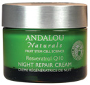 image of Fruit Stem Cell Night Repair Cream