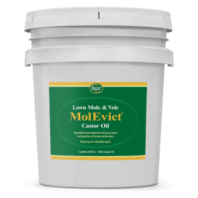 MolEvict, 5 Gallon Pail