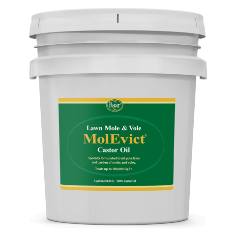 MolEvict, 5 Gallon Pail