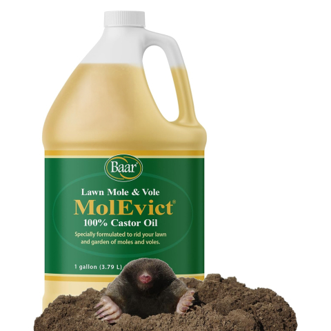 MolEvict, 1 Gallon