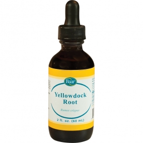 Yellowdock Root, Fluid Extract, 2 oz dropper bottle