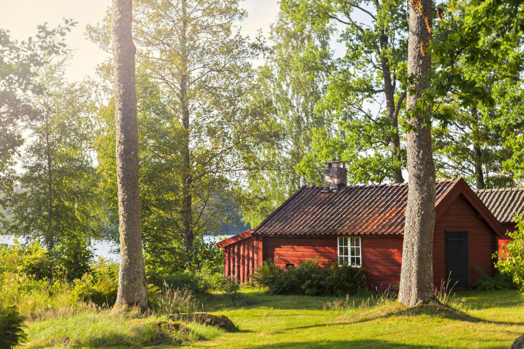 Red cabin in the woods 